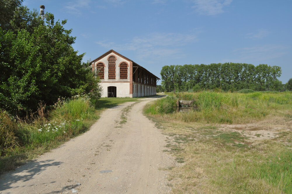   Pavese countryside →  